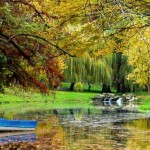 Cele mai vechi parcuri din România